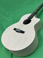 NATASHA Saturn  /with L.R.Baggs Element VTC_2