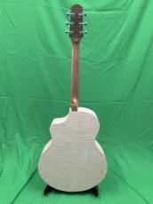 NATASHA Saturn  /with L.R.Baggs Element VTC_4