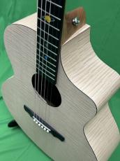 NATASHA Saturn  /with L.R.Baggs Element VTC_8