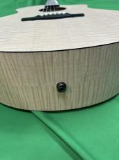 NATASHA Saturn  /with L.R.Baggs Element VTC_11