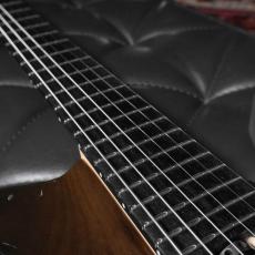Dean Gordon Guitars 2024 Mirus 6 Transparent black_6