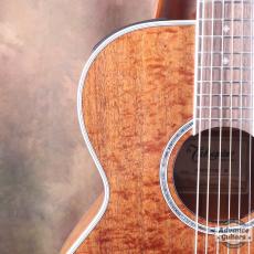 Takamine 2012年製 PTU131KC N_12