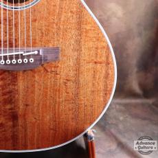 Takamine 2012年製 PTU131KC N_15
