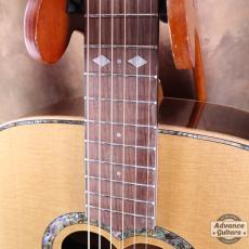 Zemaitis P-CAD-200HS-G_6