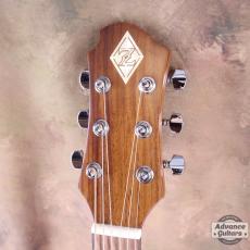 Zemaitis P-CAD-200HS-G_8