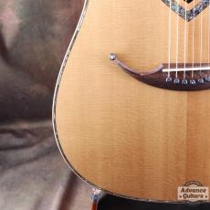 Zemaitis P-CAD-200HS-G_14