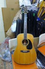 MOUNTAIN W-300　N