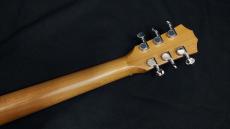 Taylor BT1e_10
