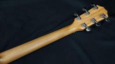 Taylor 214ce Plus_10