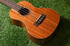 DCT DUC-600M Concert