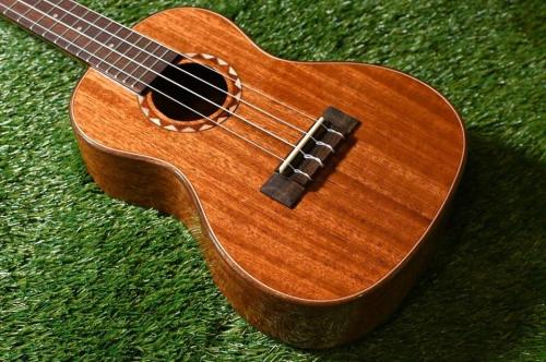 DCT DUC-600M Concert