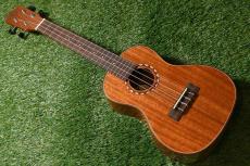 DCT DUC-600M Concert_3