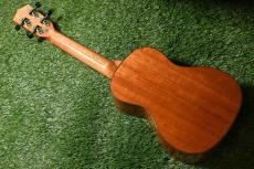 DCT DUC-600M Concert_4