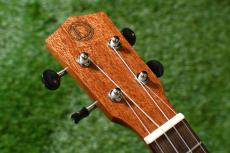 DCT DUC-600M Concert_5