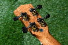 DCT DUC-600M Concert_6