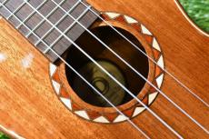 DCT DUC-600M Concert_12