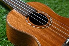 DCT DUC-600M Concert_13