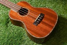 DCT DUC-300M Concert