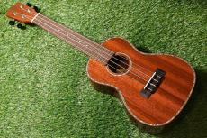 DCT DUC-300M Concert_3