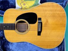 Martin D-28_2