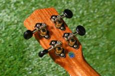 DCT DUC-300M Concert_6