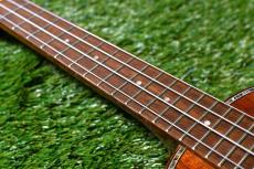 DCT DUC-300M Concert_7