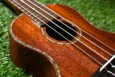 DCT DUC-300M Concert_12