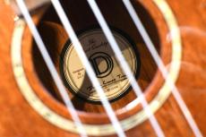 DCT DUC-300M Concert_17