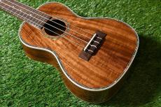 DCT DUC-150K Concert