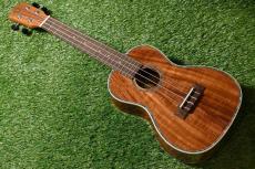 DCT DUC-150K Concert_3