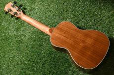 DCT DUC-150K Concert_4