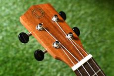 DCT DUC-150K Concert_5