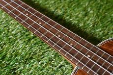 DCT DUC-150K Concert_7