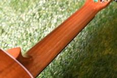 DCT DUC-150K Concert_9