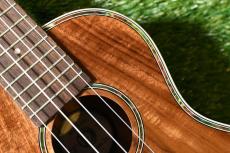 DCT DUC-150K Concert_10