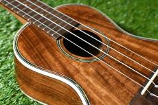 DCT DUC-150K Concert_11