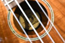 DCT DUC-150K Concert_16