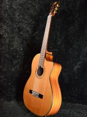 Martinez MP-12MH【オンラインストア限定】_2