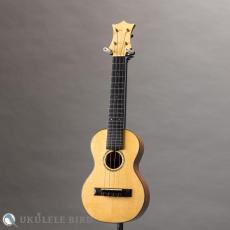 HAMAGEN C-016 Concert Spruce Mahogany