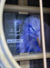 Headway 【試奏動画あり】The Eagle /STD Type D CN #S03462_11
