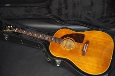 Epiphone TEXAN_2
