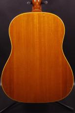 Epiphone TEXAN_3
