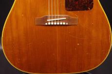 Epiphone TEXAN_9