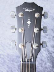 Taylor 【USA製 / オール単板】314ce V-Class_6