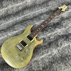 Paul Reed Smith [PRS] SE Custom 24 N Trampas Green_2