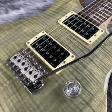 Paul Reed Smith [PRS] SE Custom 24 N Trampas Green_3