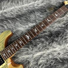 Paul Reed Smith [PRS] SE Custom 24 N Trampas Green_4