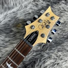 Paul Reed Smith [PRS] SE Custom 24 N Trampas Green_5