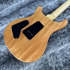 Paul Reed Smith [PRS] SE Custom 24 N Trampas Green_6