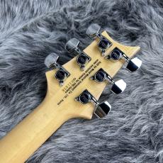 Paul Reed Smith [PRS] SE Custom 24 N Trampas Green_9